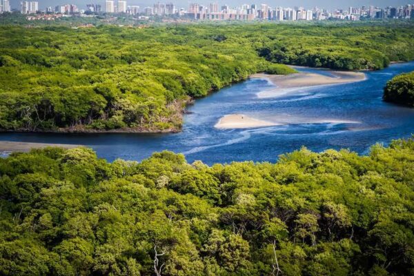 Conflito Explosivo: Proprietários Reagem à Nova Resolução sobre Áreas de Proteção Ambiental!